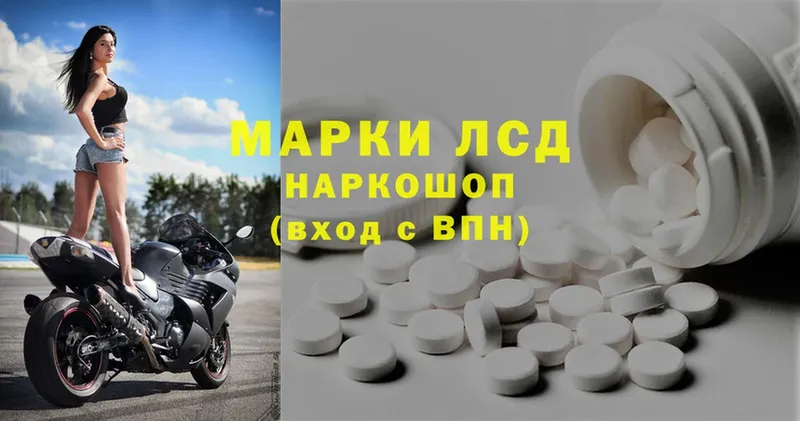 где продают наркотики  Злынка  Лсд 25 экстази ecstasy 